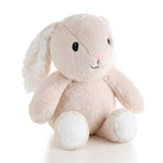 Fluffy the Plush Rabbit