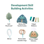 Tummy Time Mat and Baby Lovey Security Blanket - Dinosaur The Peanutshell