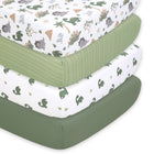 Dinosaur Dreams 4-Pack Fitt...