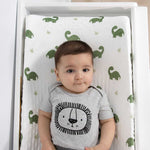 Green Dino Plush Minky 3-Pack Changing Pad Covers