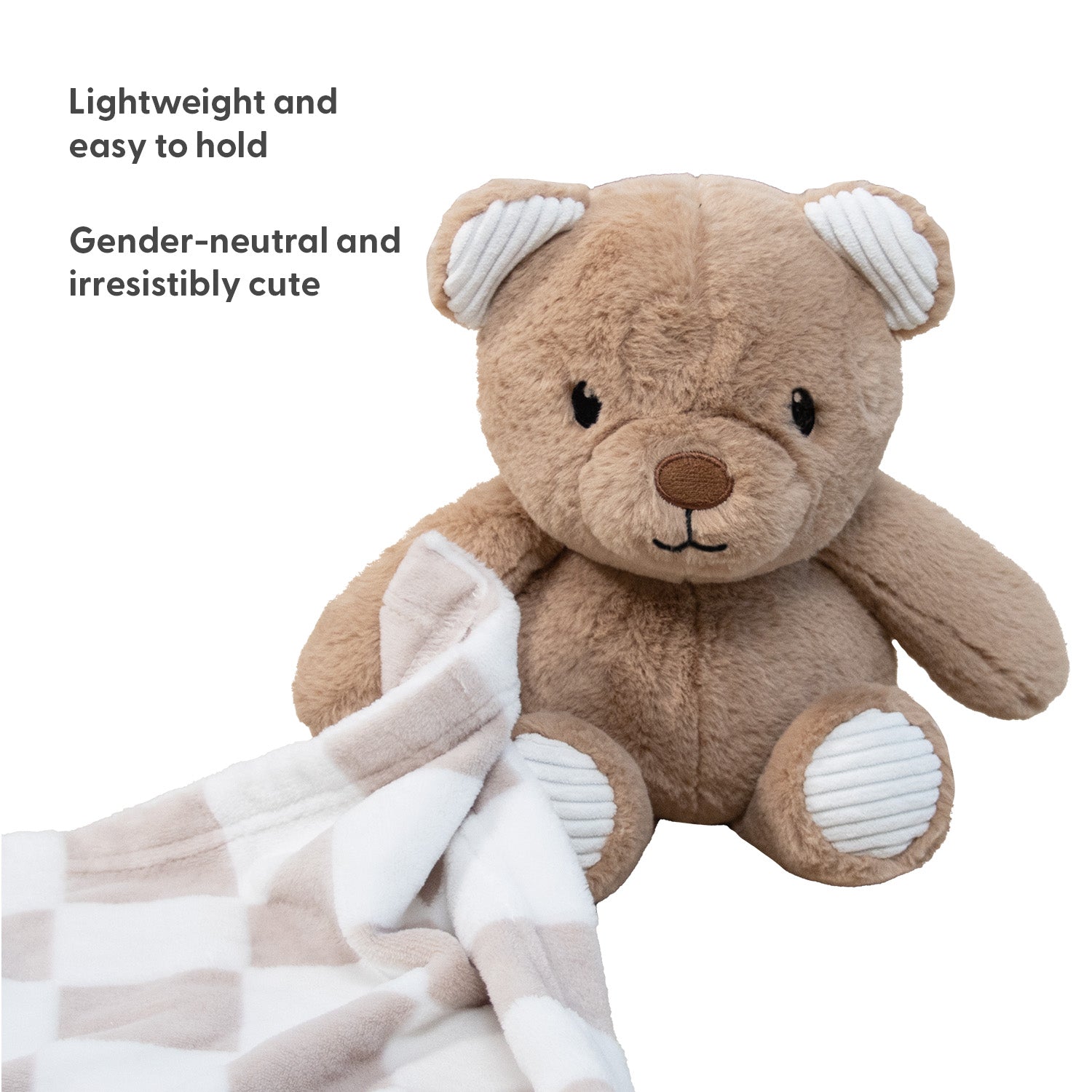 Teddy Bear Plush Stuffed Animal and Blanket Gift Set