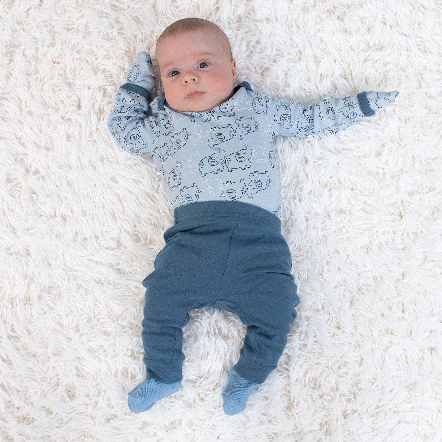 Layette Gift Set for Baby Boys - Elephant Blue, 30 Piece Farallon Brands