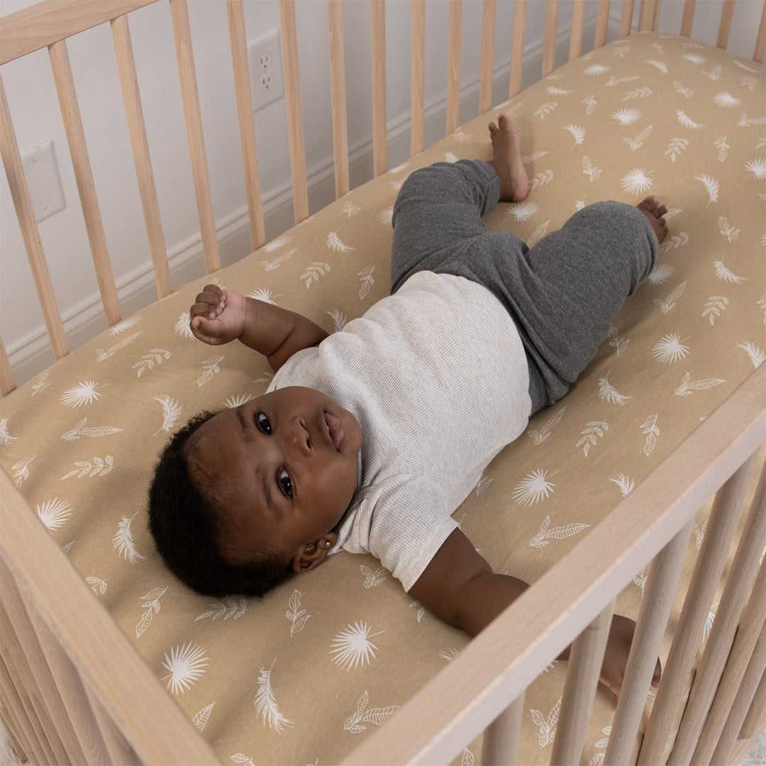 Caramel Safari 4-Pack Fitted Organic Jersey Crib Sheet Set